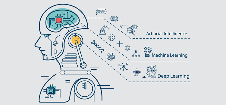 Unveiling the Depths of Deep Learning